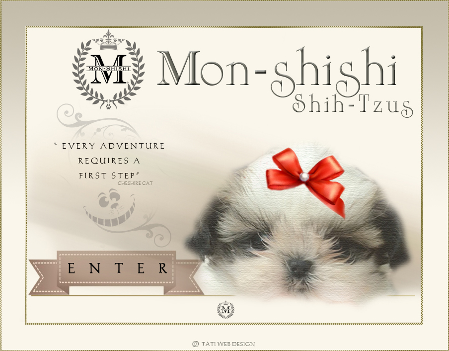 shih tzu graphic enter page. Note: we have tags on all photos to help visually impaired. On videos we only have music to help hearing impaired. If you run on any website navigation errors and you are unable to access any part of this website, please contact us and we wll be happy to speak with you and answer any questions you may have.